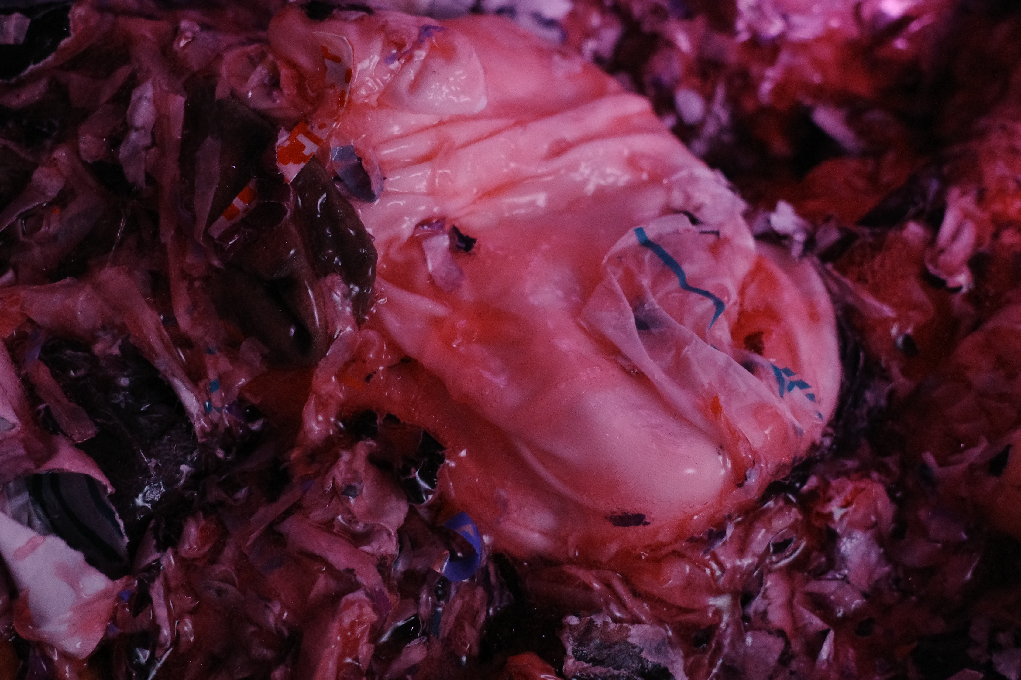 李秀芬_Shiou Fen LI_Bonn_跨領域作品_Cross-disciplinary_Ava她r_1