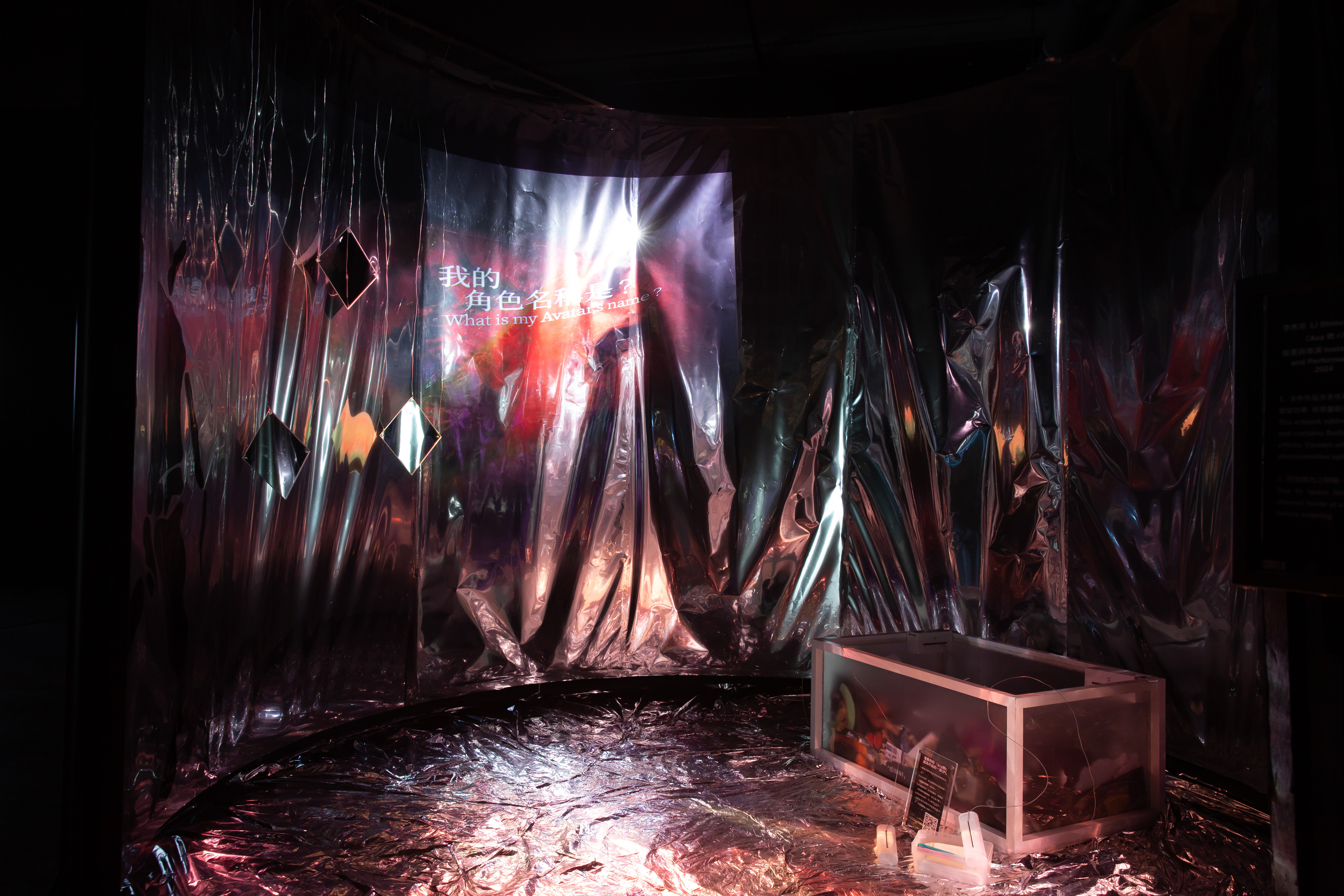 李秀芬_Shiou Fen LI_Bonn_跨領域作品_Cross-disciplinary_Ava她r_4