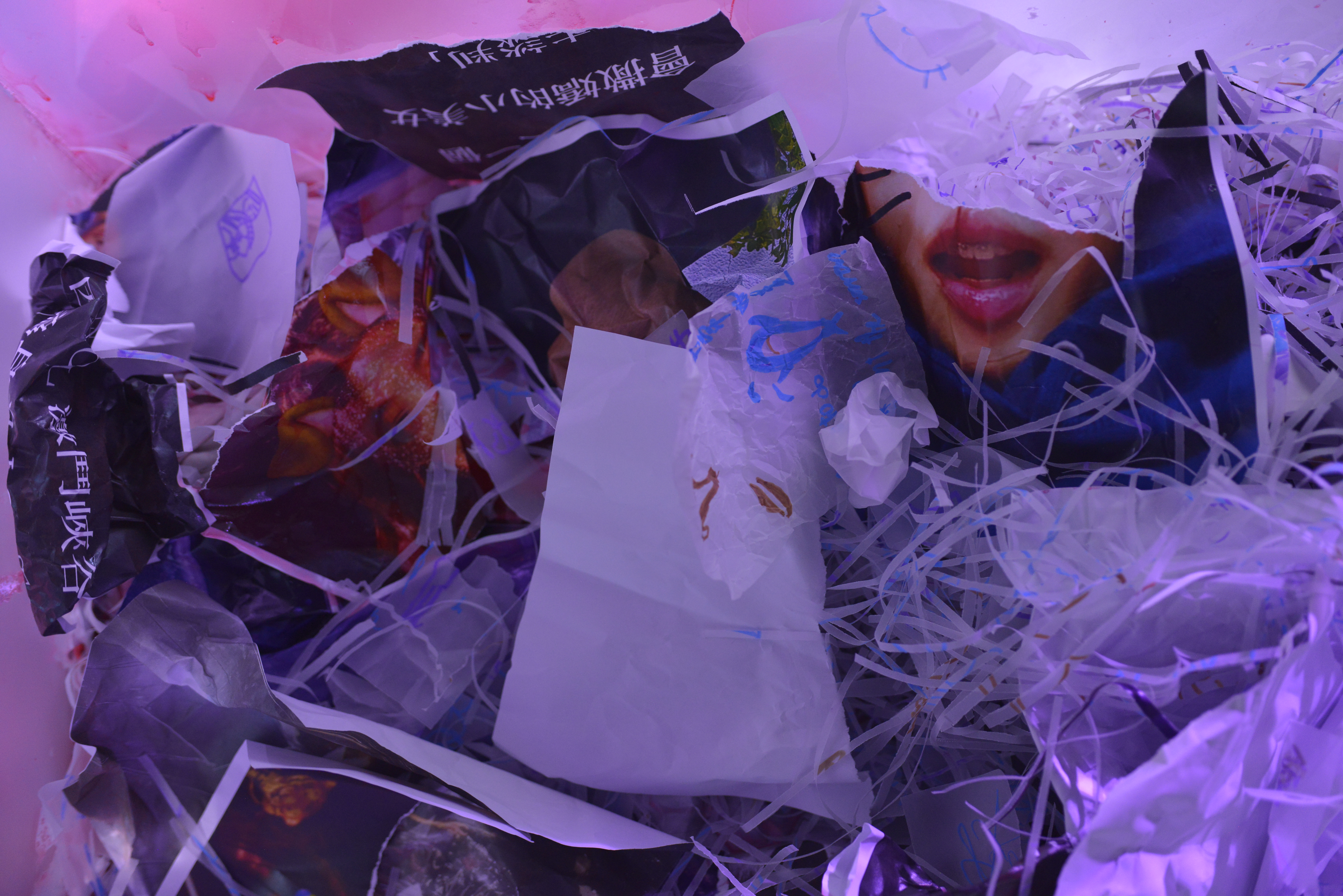 李秀芬_Shiou Fen LI_Bonn_跨領域作品_Cross-disciplinary_Ava她r_2