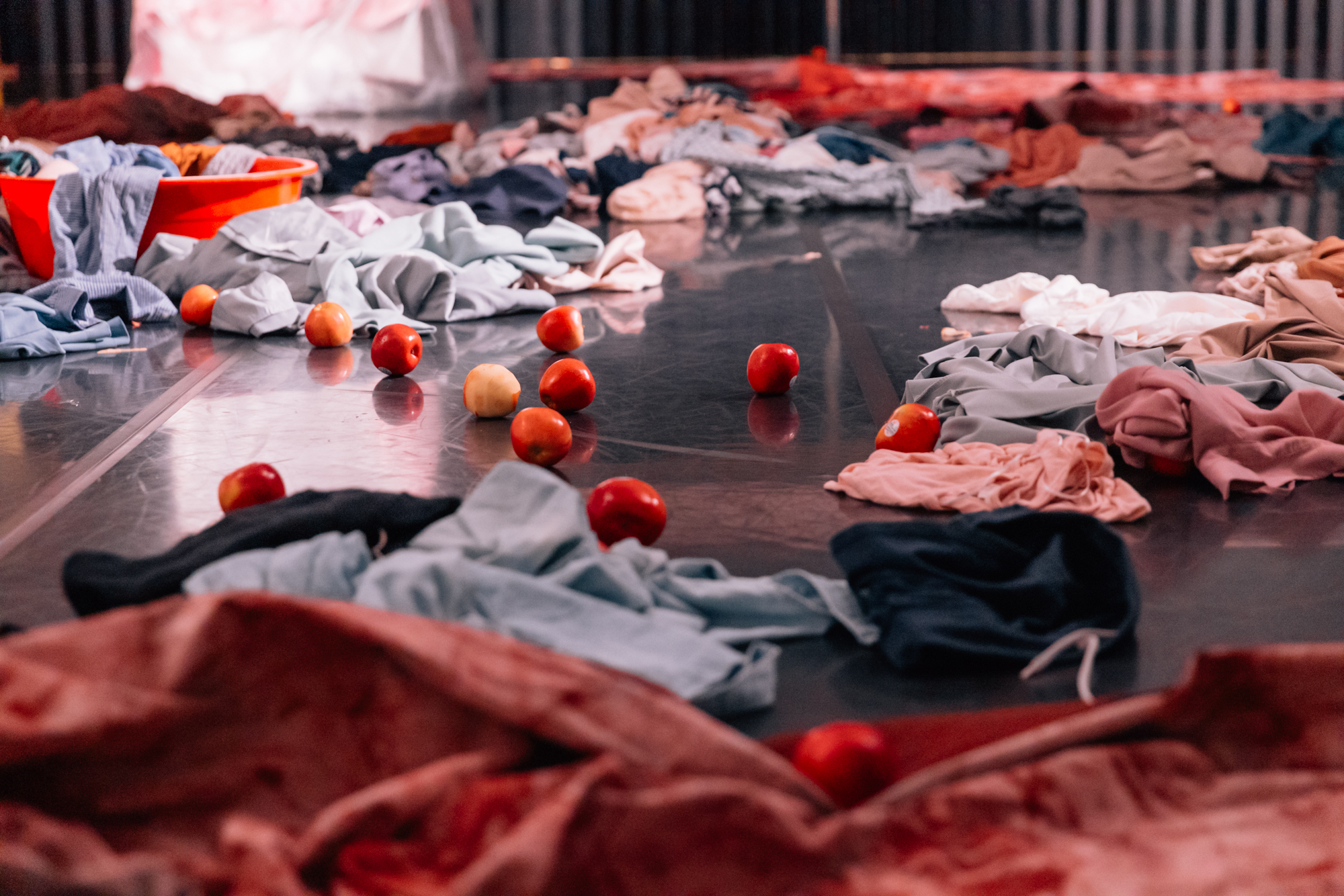 李秀芬_Shiou Fen LI_Bonn_跨領域作品_Cross-disciplinary_如同我這樣活著_Like Me_3