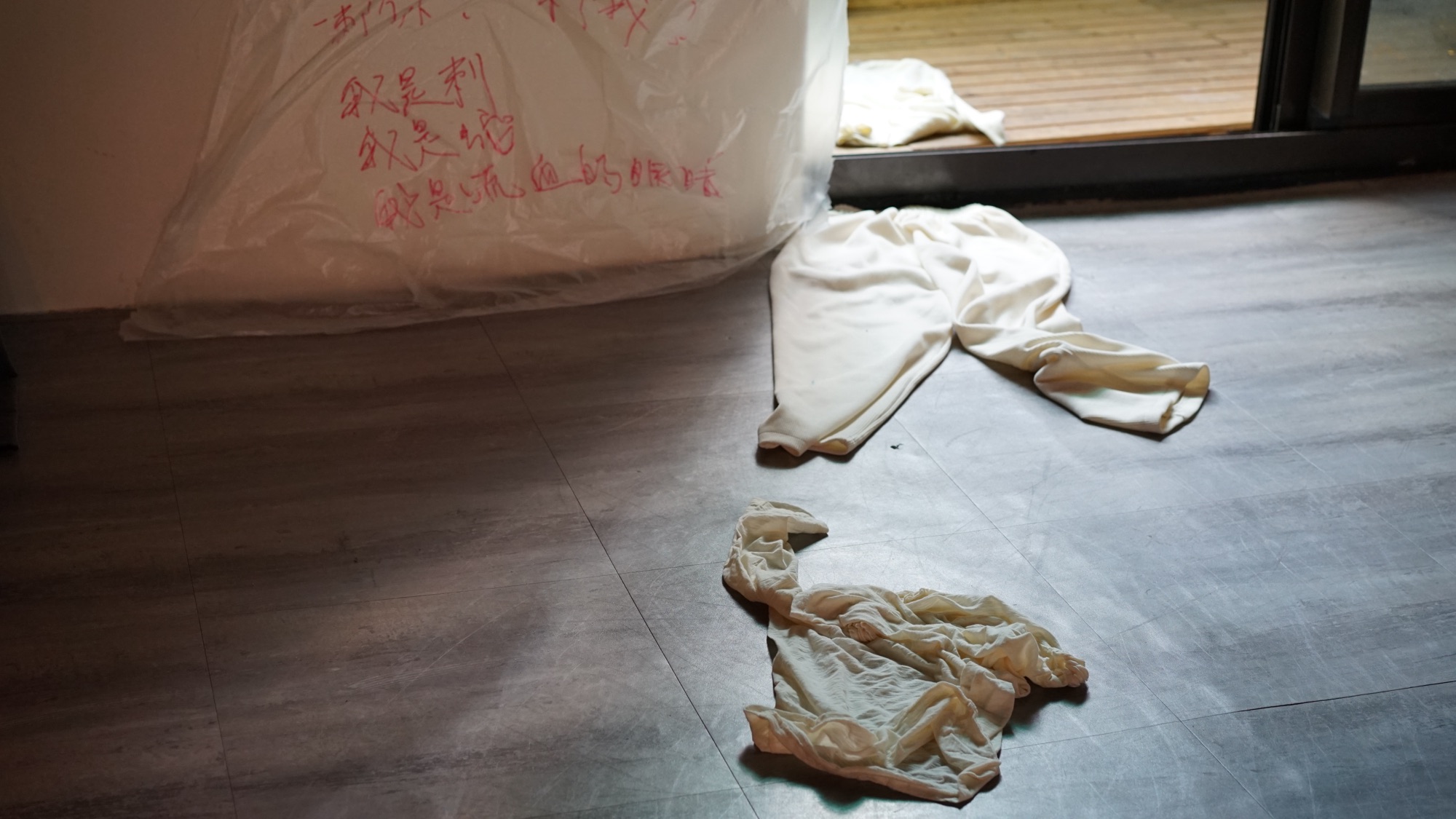 李秀芬_Shiou Fen LI_Bonn_策展_curation_「我還活著」數位性暴力藝術策展與行為展演 "Subsist, but no more": Curatorial and Performance Project_4