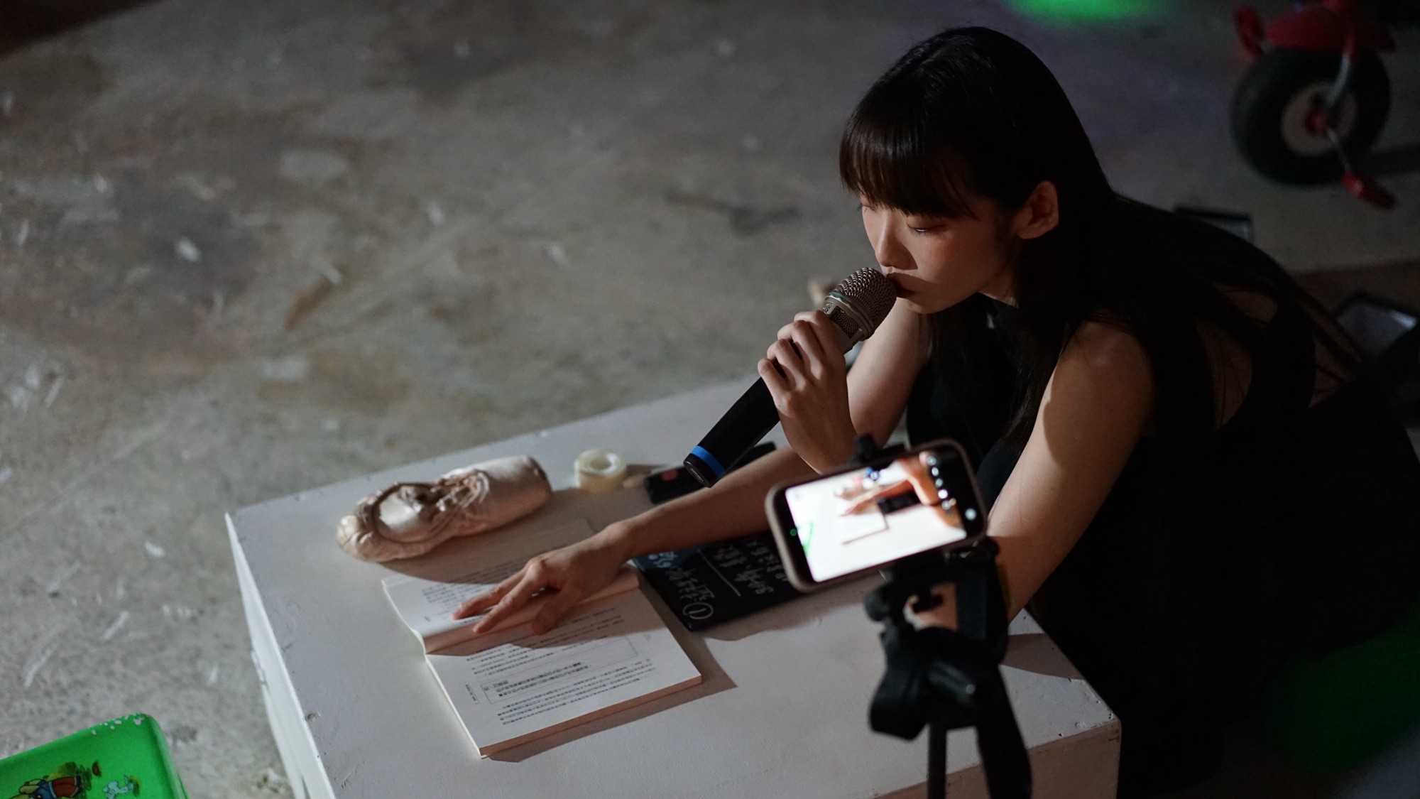 李秀芬_Shiou Fen LI_Bonn_演出_Performace_一般垃圾不可回收展覽_Gen-neral Exhibition_7