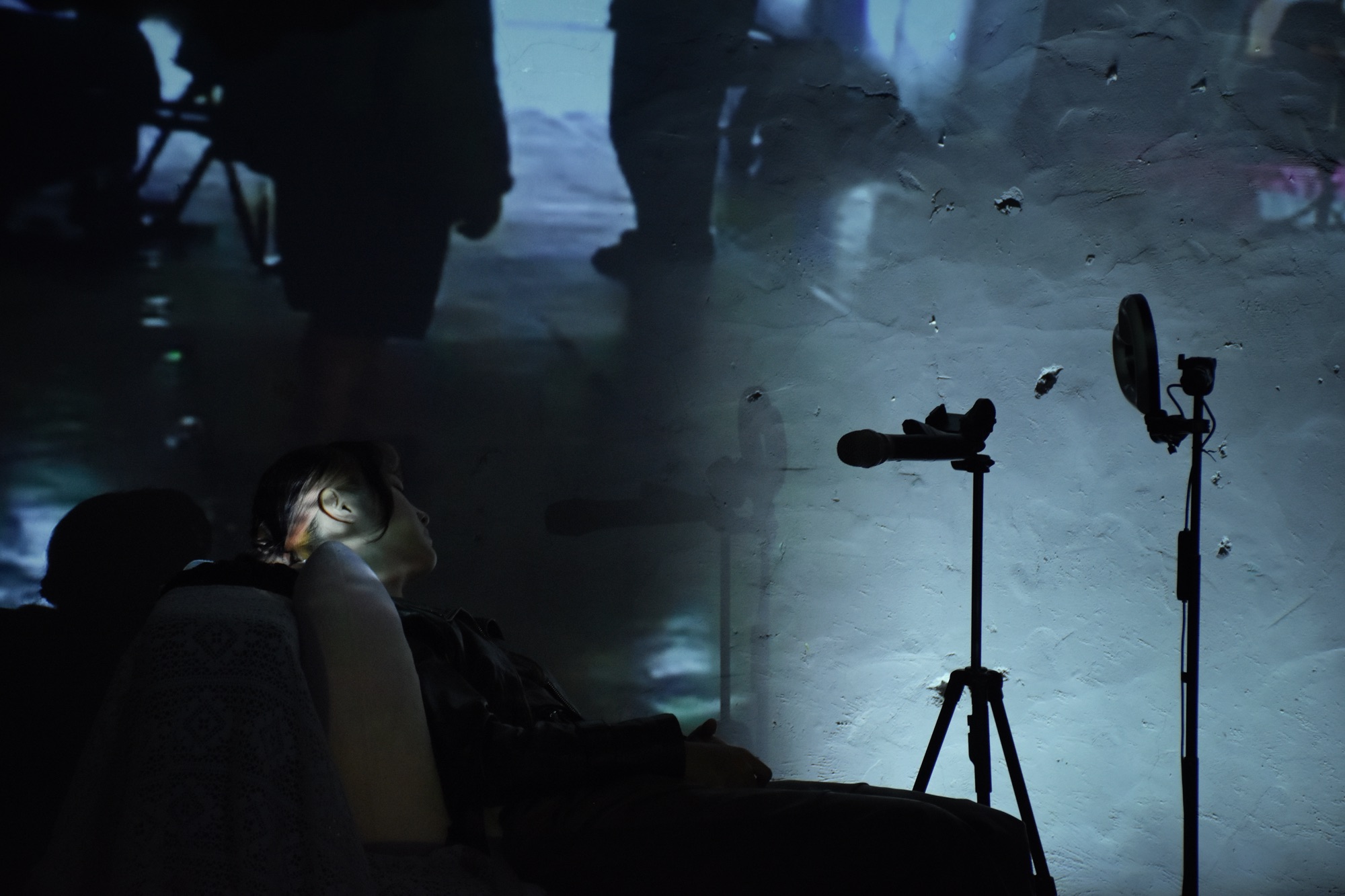 李秀芬_Shiou Fen LI_Bonn_跨領域作品_Cross-disciplinary_《快樂的死》&《永久離線》 Error After Life ＆ Off-Life_3