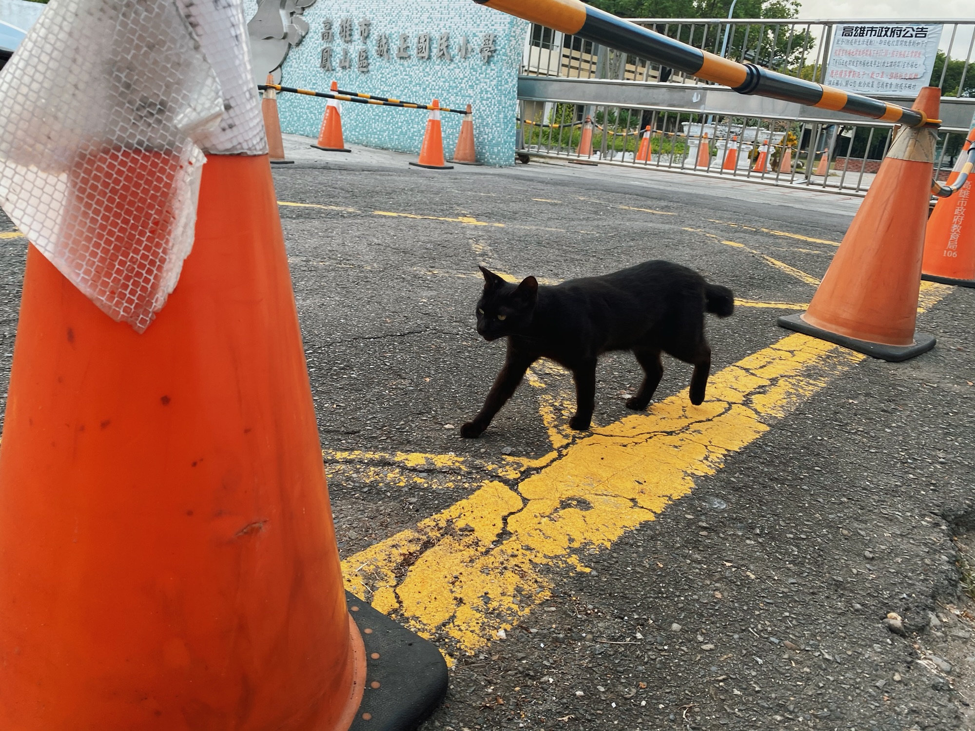李秀芬_Shiou Fen LI_Bonn_攝影_Photography_三角錐_Traffic cones_1