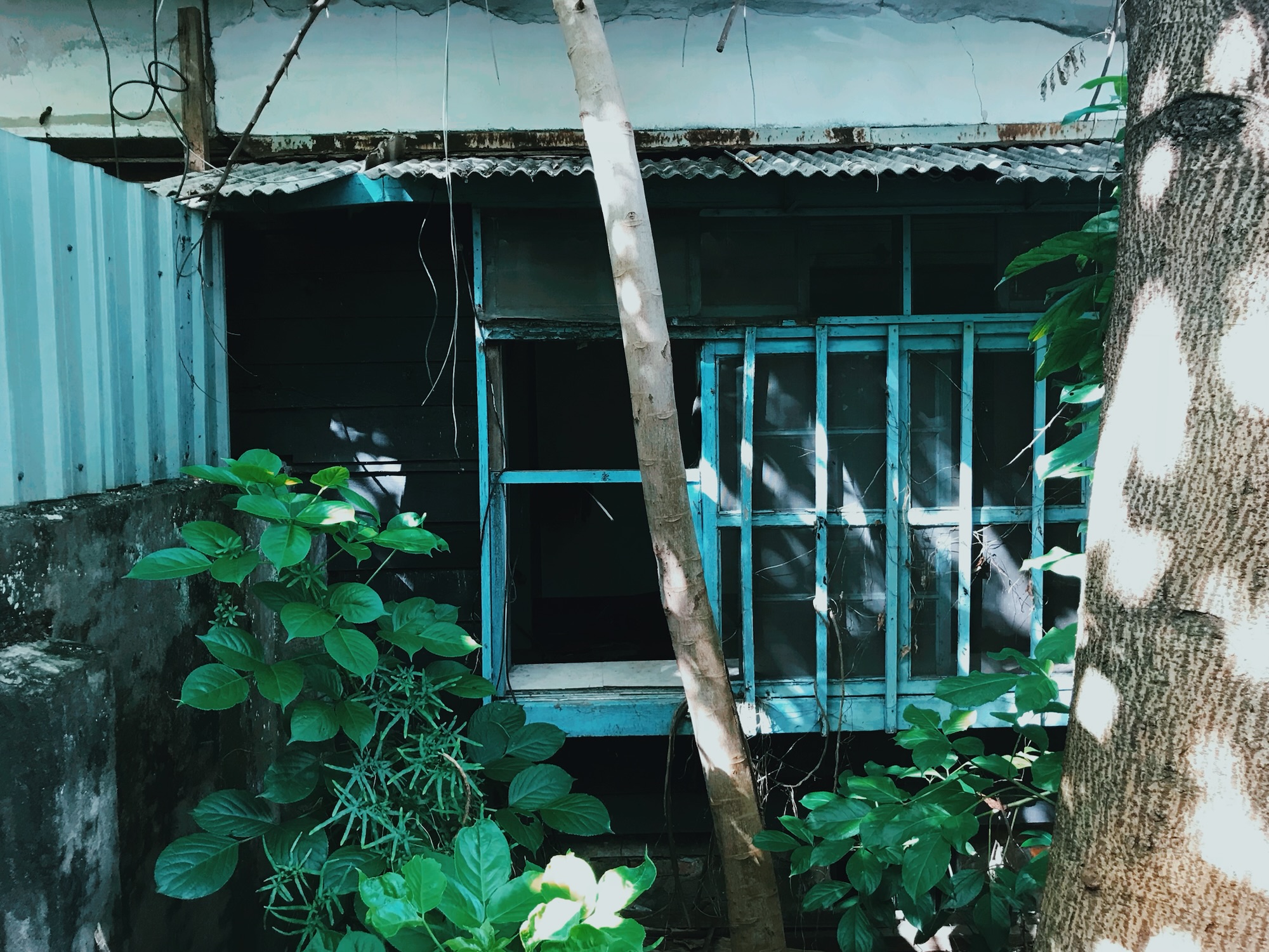 李秀芬_Shiou Fen LI_Bonn_攝影_Photography_廢墟_ruins_44