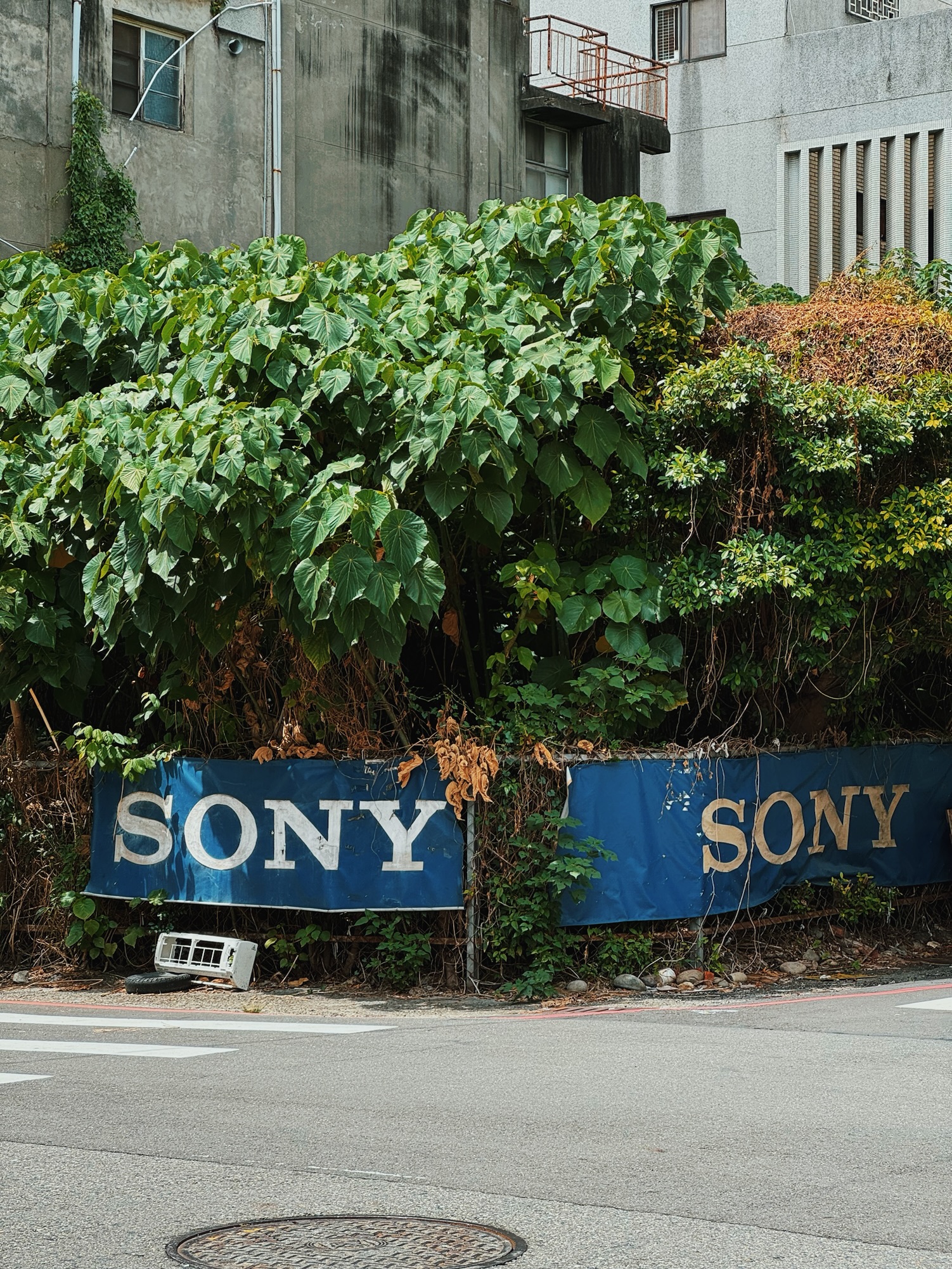 李秀芬_Shiou Fen LI_Bonn_攝影_Photography_廢墟_ruins_3