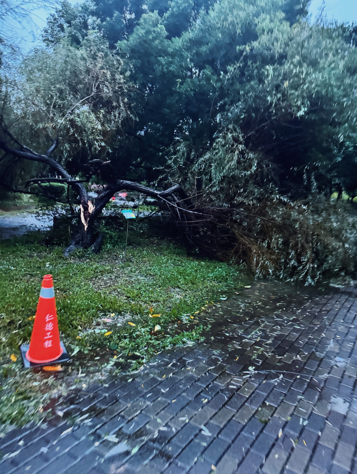 李秀芬_Shiou Fen LI_Bonn_攝影_Photography_三角錐_Traffic cones_4