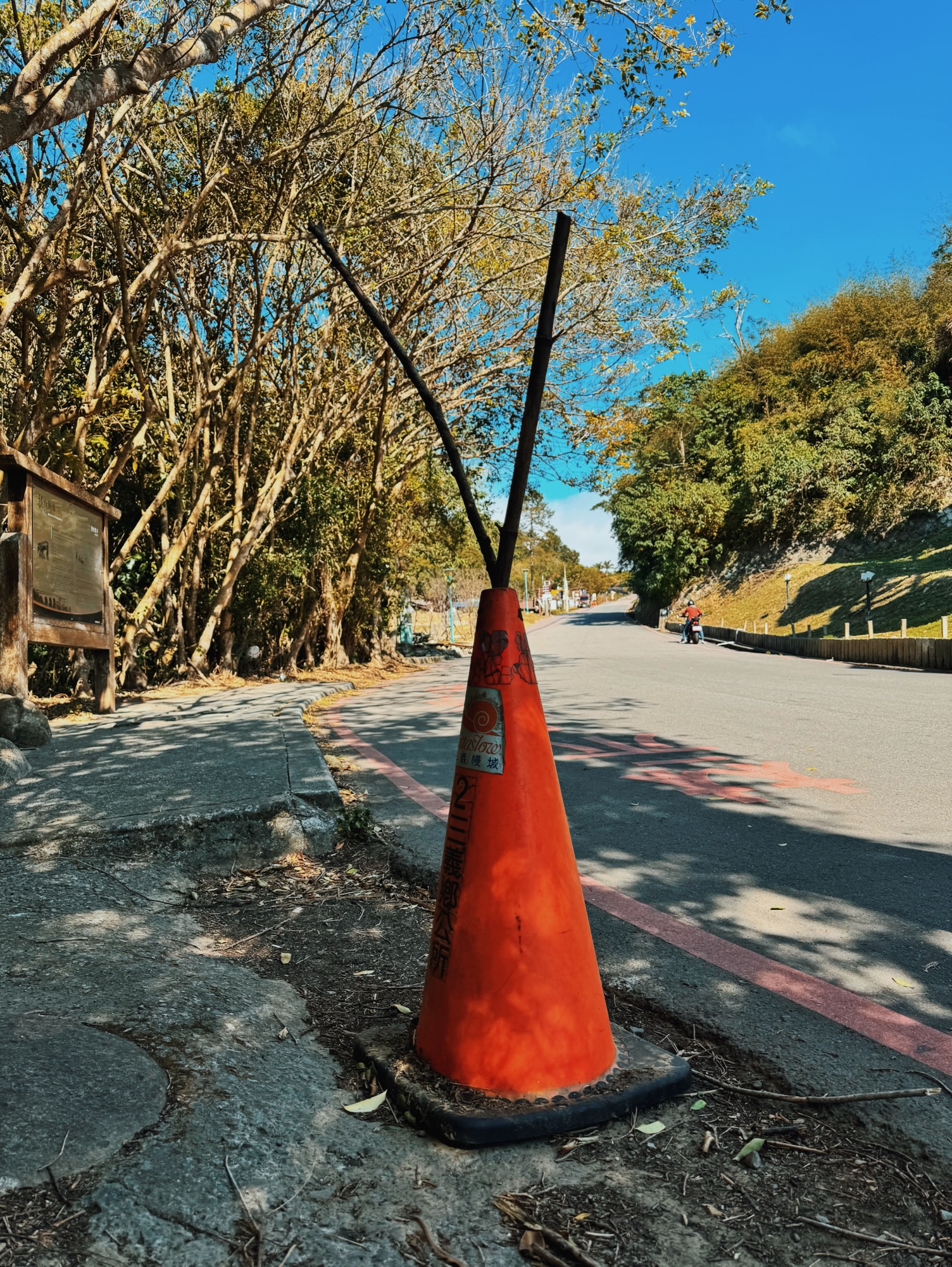 李秀芬_Shiou Fen LI_Bonn_攝影_Photography_三角錐_Traffic cones_6