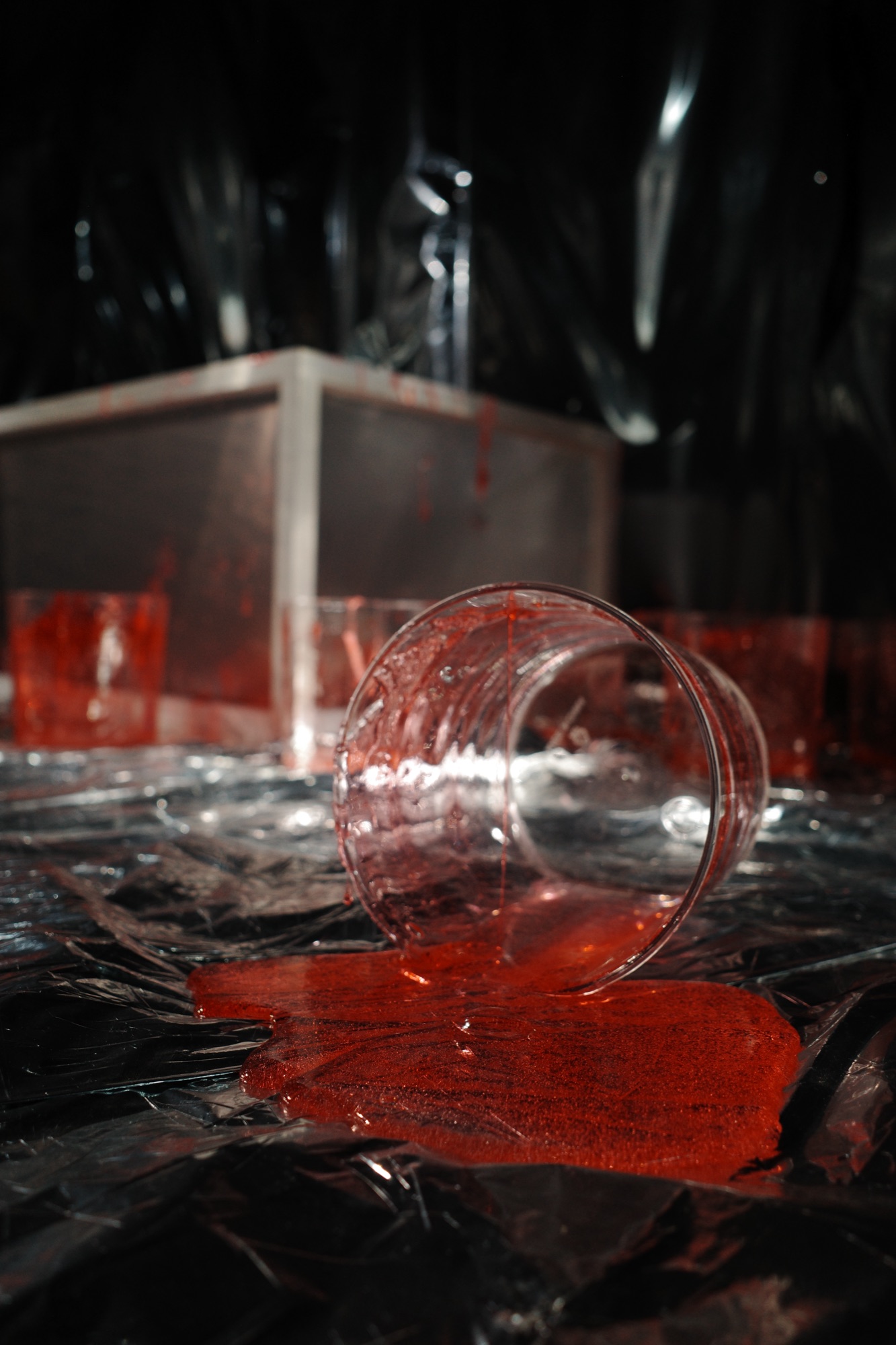 李秀芬_Shiou Fen LI_Bonn_跨領域作品_Cross-disciplinary_Ava她r_7